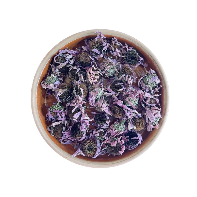 Echinacea Tea - An organic Turkish Herbal Tea known for immune support, cold and flu relief, anti-inflammatory properties, wound healing, respiratory health, and antioxidant protection